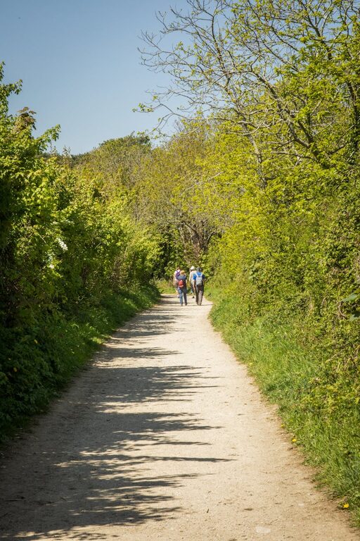 Easy Ways to Add More Movement to Your Day